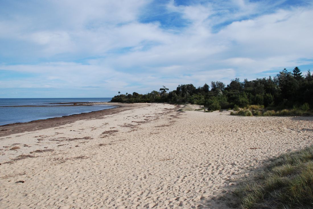 Balnarring Beach